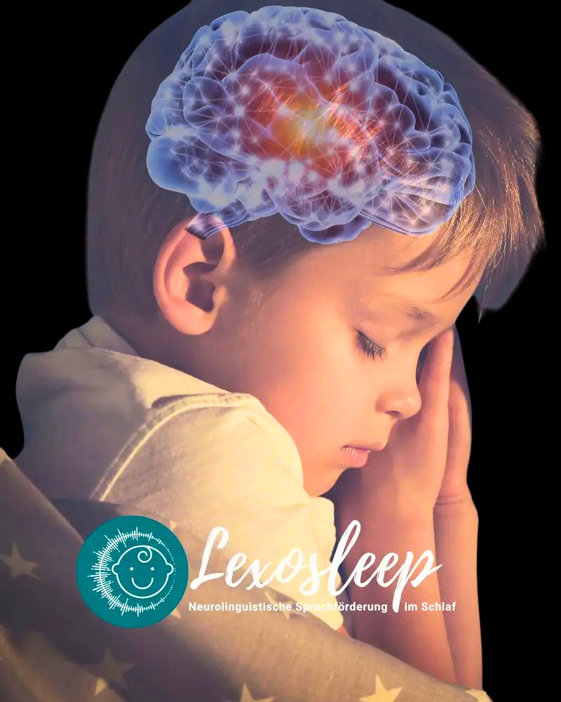 Lexosleep Neurolinguistische Sprachförderung Gehirn